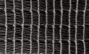 Monochrome white hail net