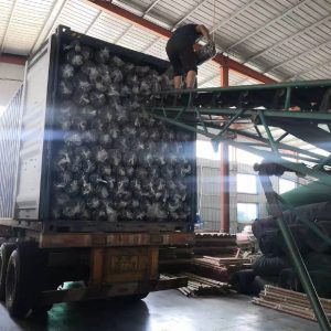 SHADING NET LOADING SCENE