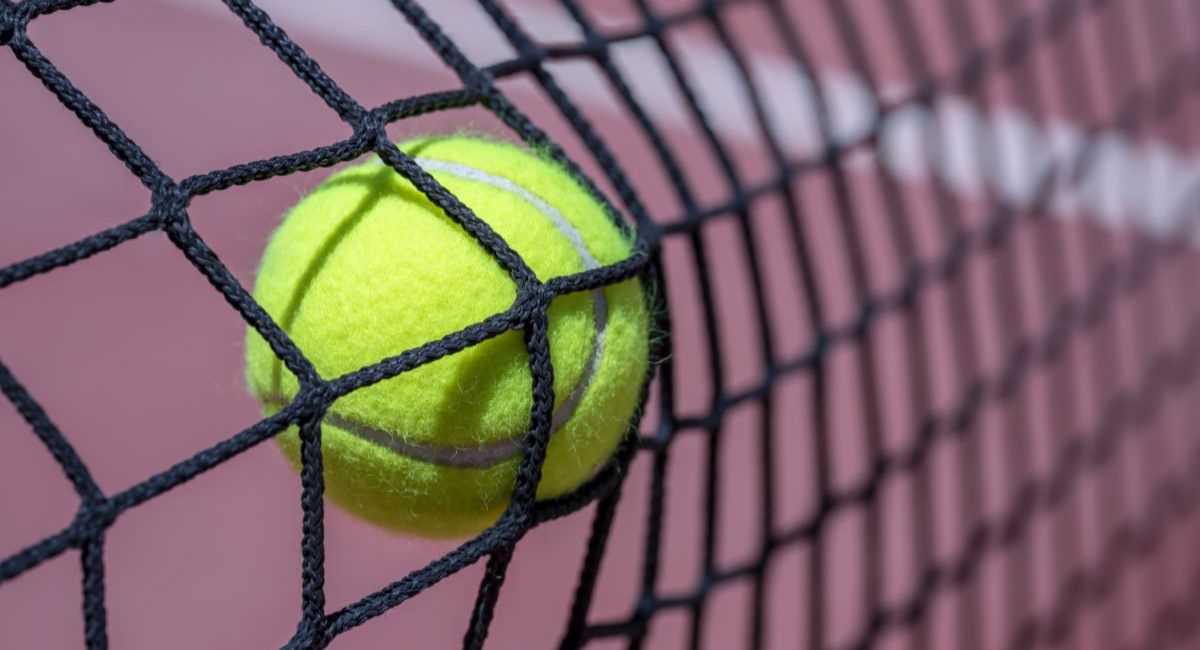 Tennis Ball Stop Netting