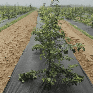 BLACK WEED BARRIER MAT