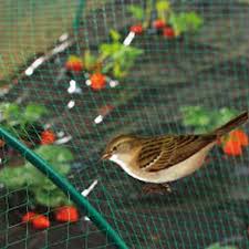 Durable bird exclusion netting used in vineyard and farm planting
